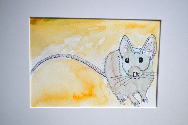Field Mouse Watercolor