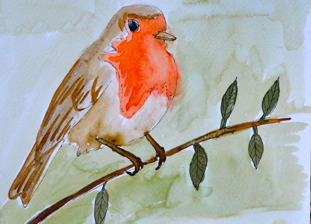 Robin Watercolor